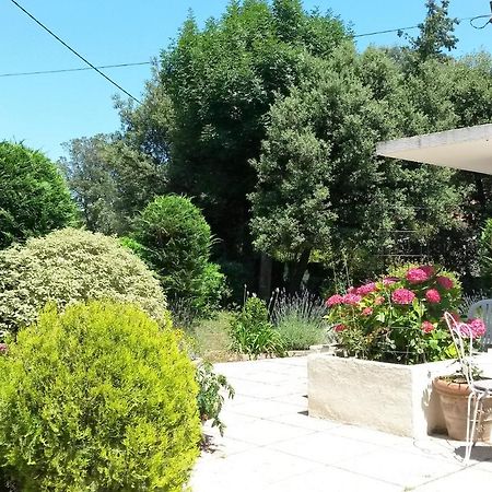 Hôtel La Louvetière à Roquefort-les-Pins Extérieur photo